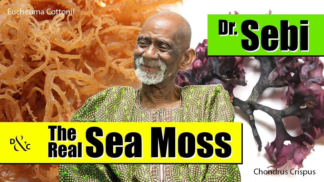 Real Vs. Fake Sea Moss: How to Know the Difference