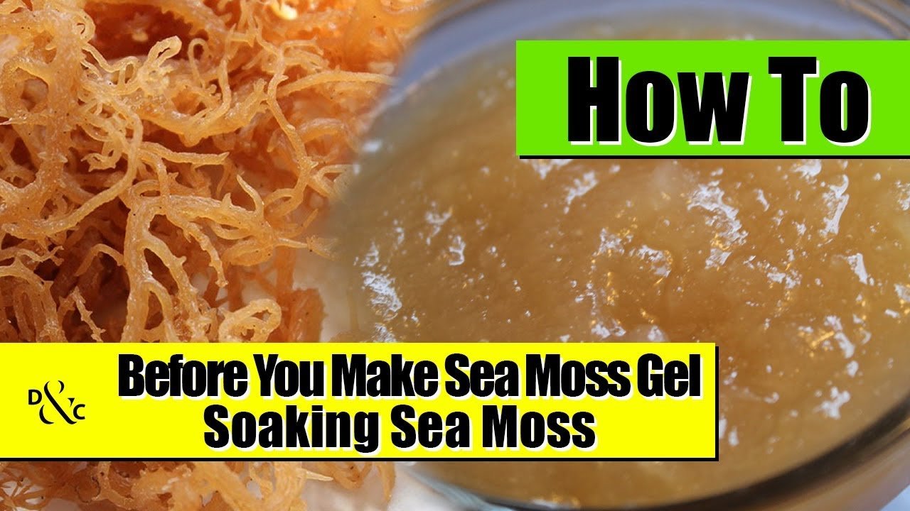 How to Make Sea Moss Gel - That Girl Cooks Healthy