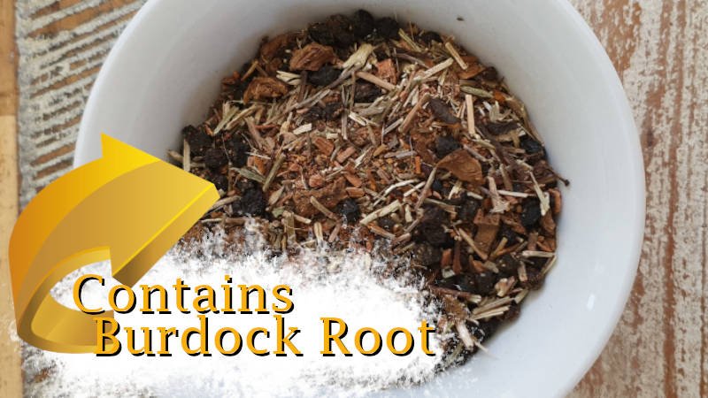 Is Burdock Root Good For You - burdock vs cocklebur