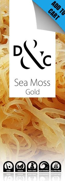 buy sea moss gold online through Detox & Cure in Australia